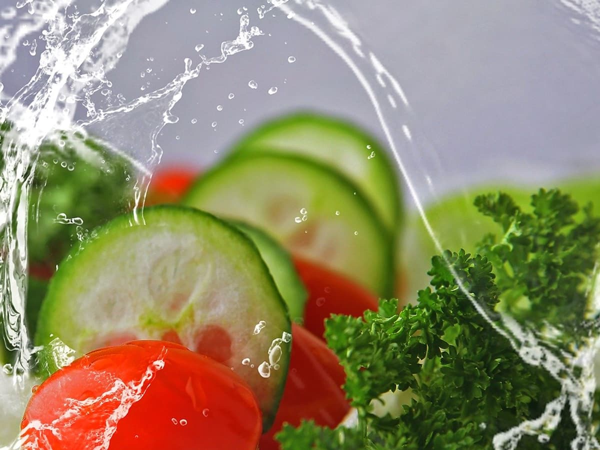 Frisches Salatgemüse: Gurkenscheiben, Tomate und Petersilie